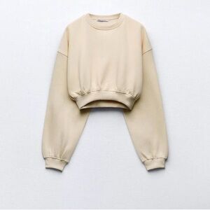 Zara Women's Beige Cropped Sweatshirt
